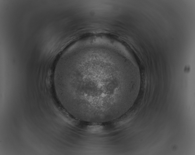 X0000091720266200708241356