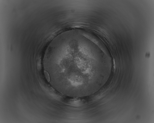 X0000091720267200708241356
