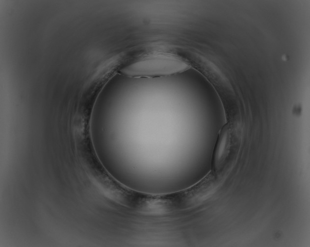 X0000091720268200708241356