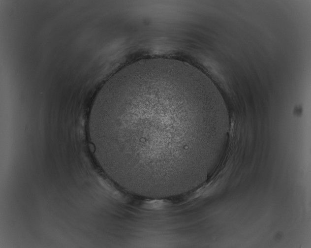 X0000091720269200708241356