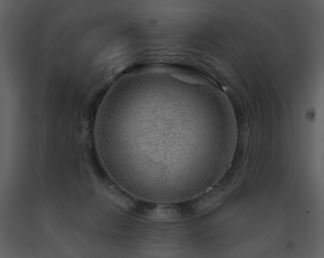 X0000091720270200708241356