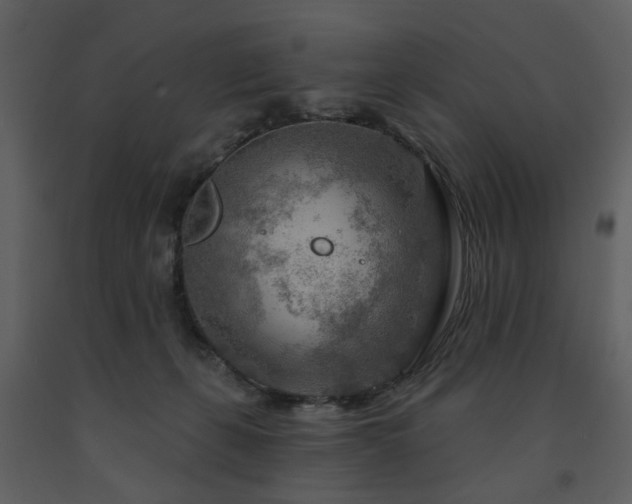 X0000091720271200708241356