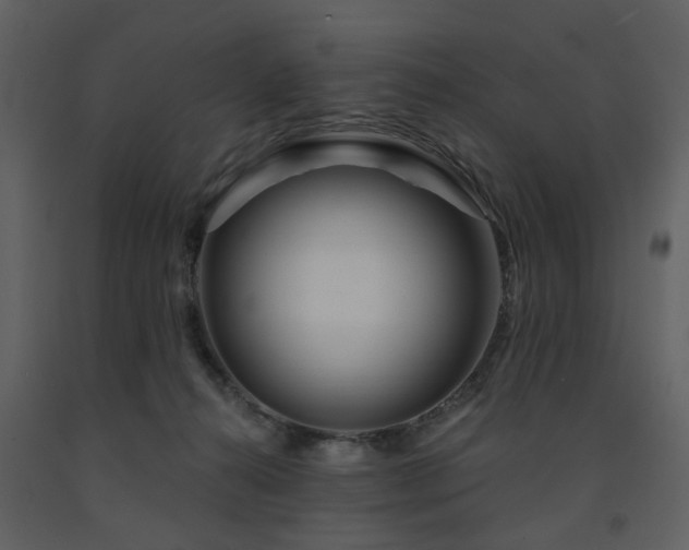 X0000091720272200708241356