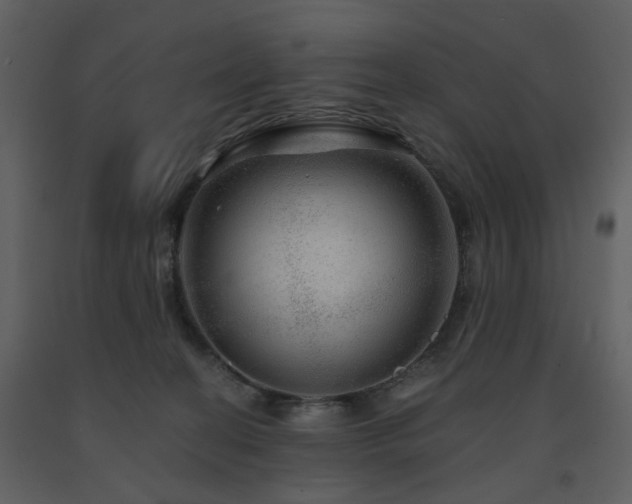 X0000091720274200708241356