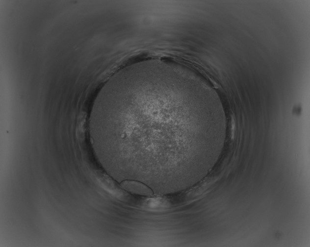X0000091720275200708241356