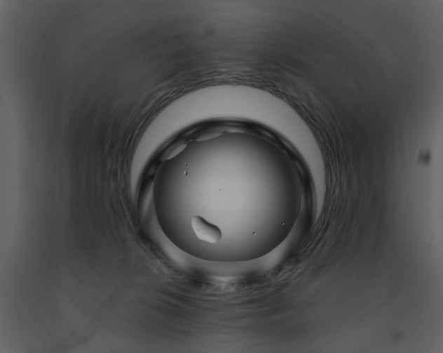 X0000091720276200708241356