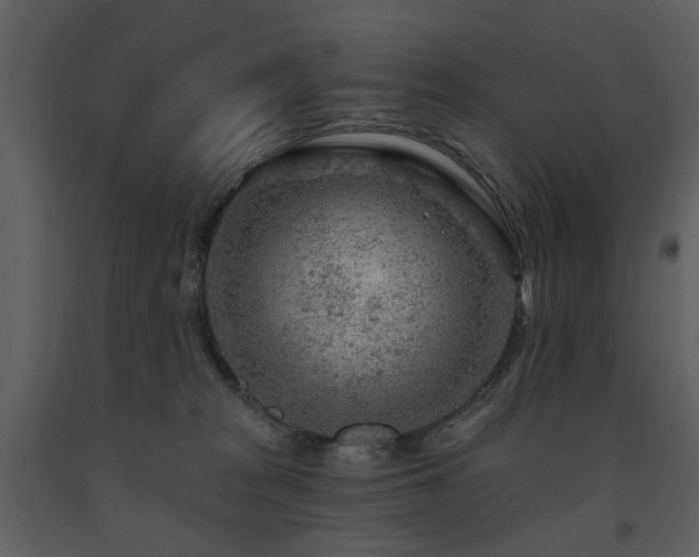 X0000091720277200708241356