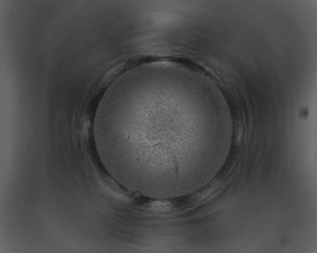X0000091720279200708241356