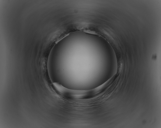 X0000091720280200708241356