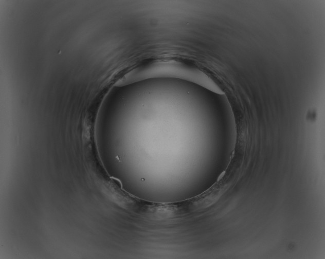 X0000091720282200708241356