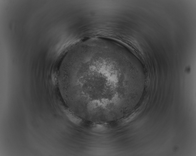 X0000091720285200708241356