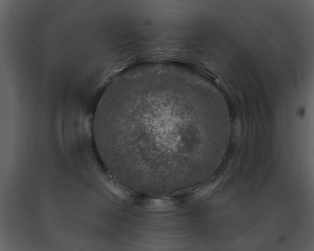 X0000091720286200708241356