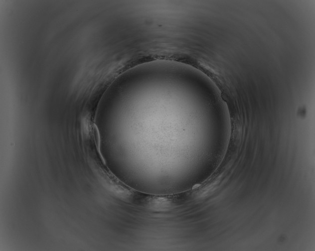 X0000091720287200708241356