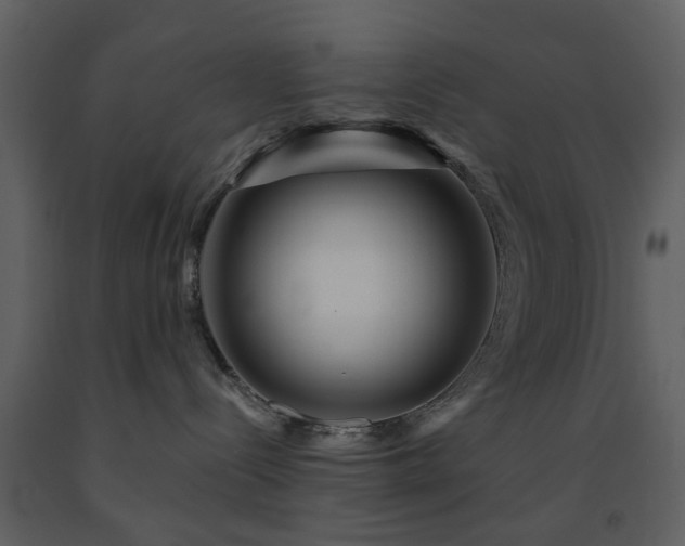 X0000091720288200708241356