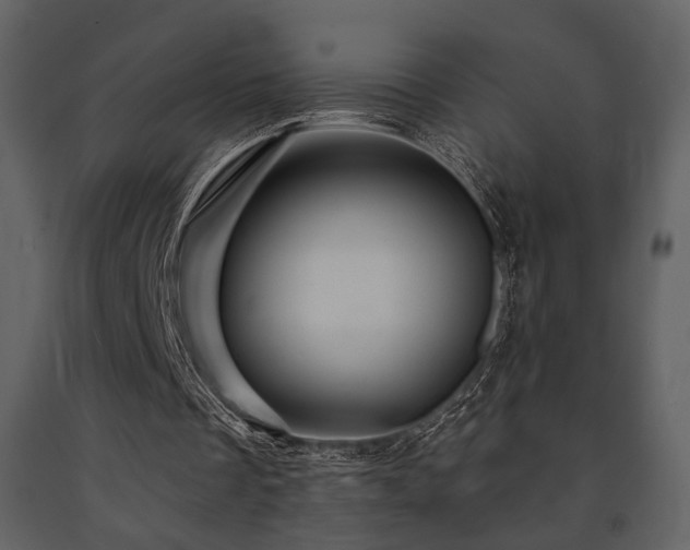 X0000091720289200708241356