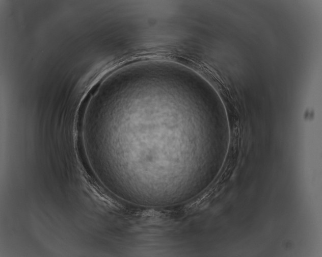 X0000091720290200708241356