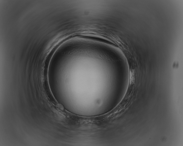 X0000091720291200708241356