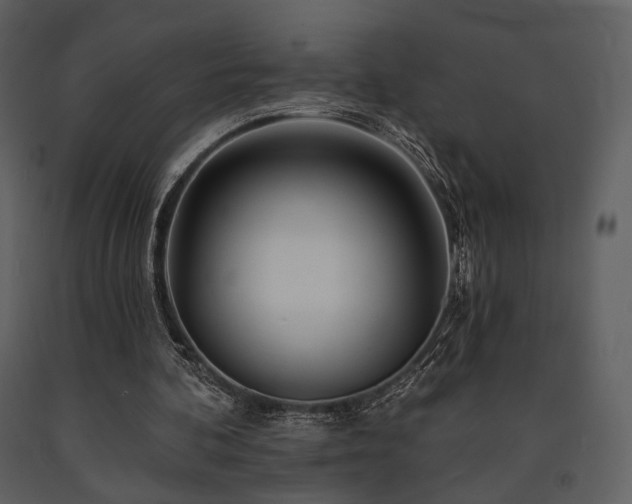 X0000091720292200708241356