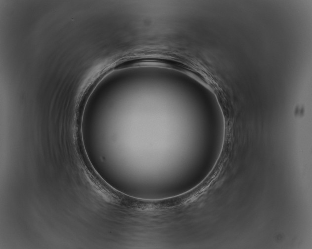X0000091720293200708241356
