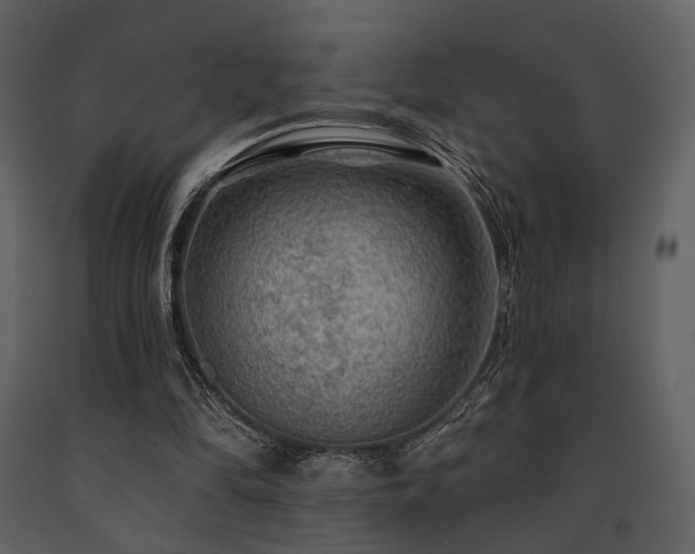 X0000091720294200708241356