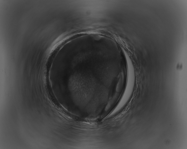 X0000091720295200708241356