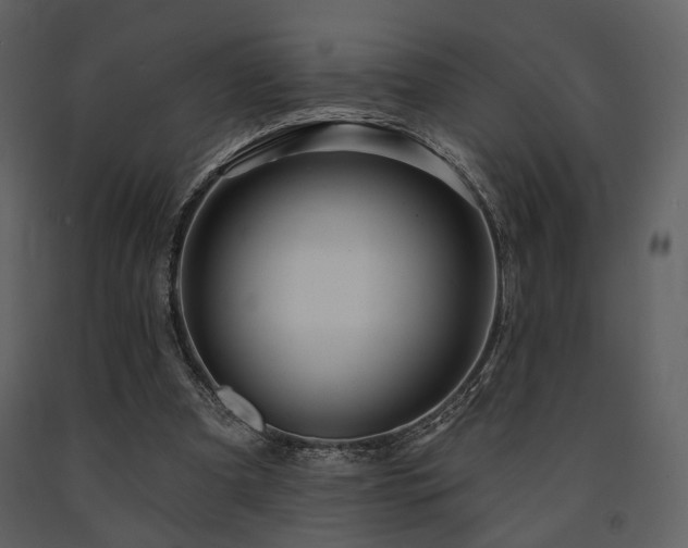 X0000091720297200708241356