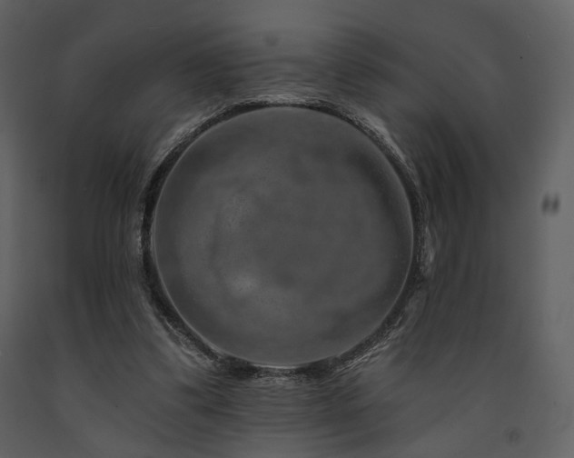 X0000091720299200708241356