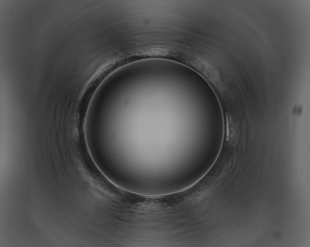 X0000091720300200708241356