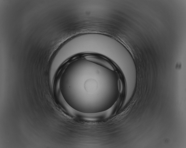X0000091720301200708241356