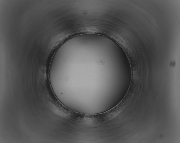 X0000091720302200708241356