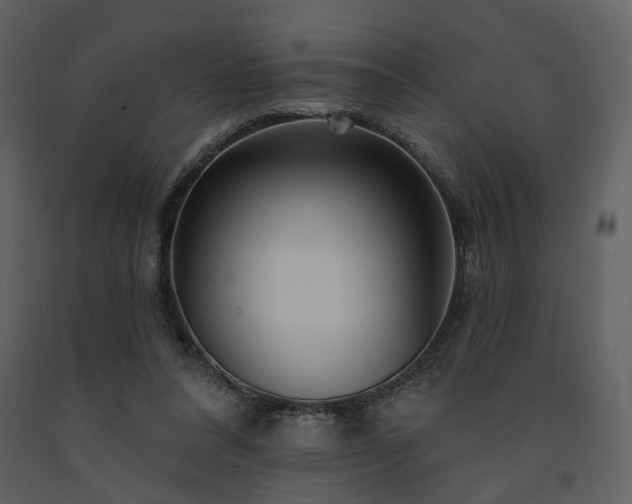 X0000091720304200708241356
