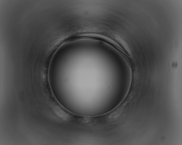 X0000091720305200708241356
