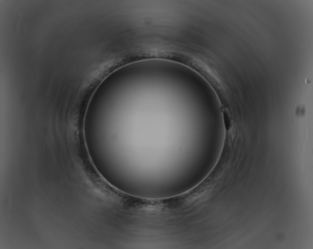 X0000091720306200708241356