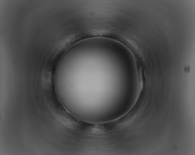 X0000091720308200708241356