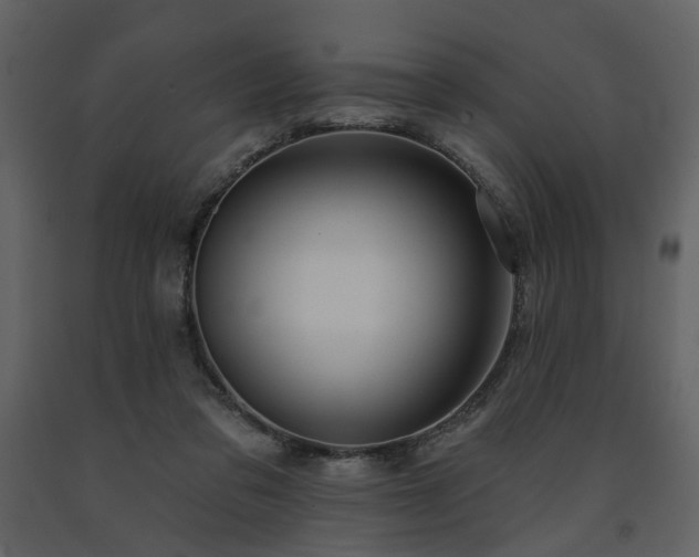 X0000091720309200708241356