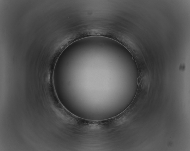 X0000091720310200708241356