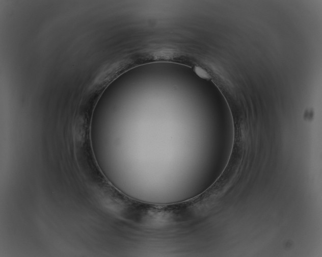 X0000091720311200708241356