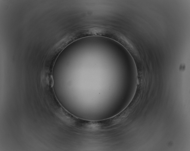 X0000091720313200708241355