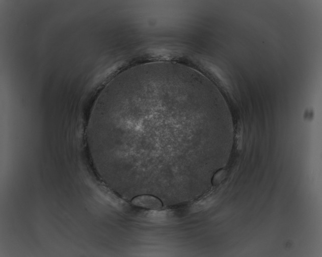 X0000091720314200708241355