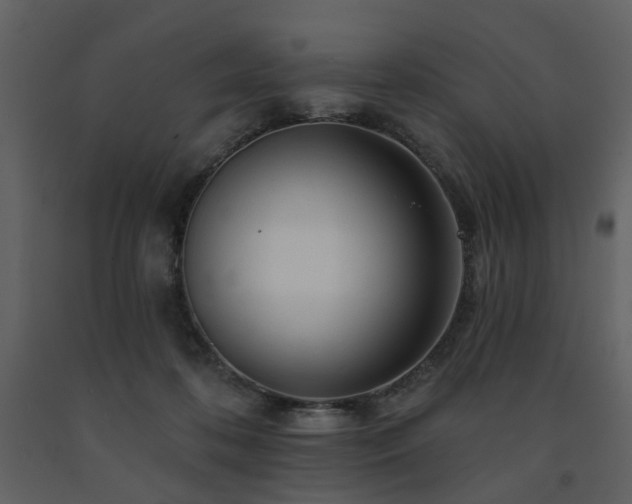 X0000091720316200708241355