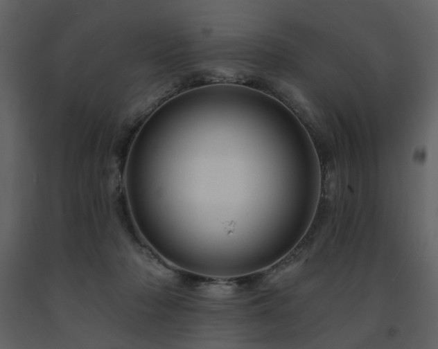 X0000091720318200708241355