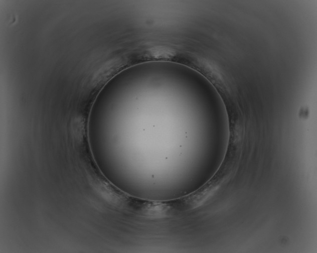 X0000091720321200708241355