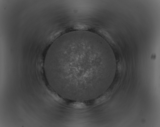 X0000091720322200708241355