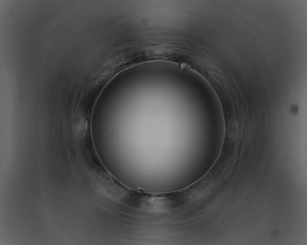X0000091720324200708241355