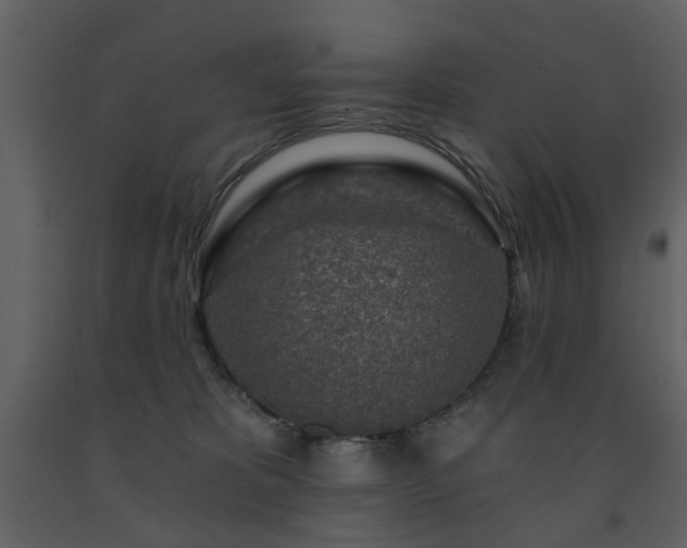 X0000091720325200708241355