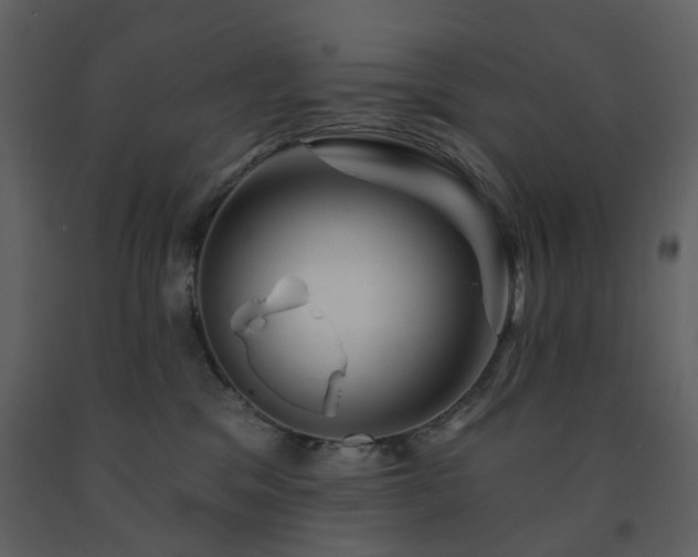 X0000091720329200708241355