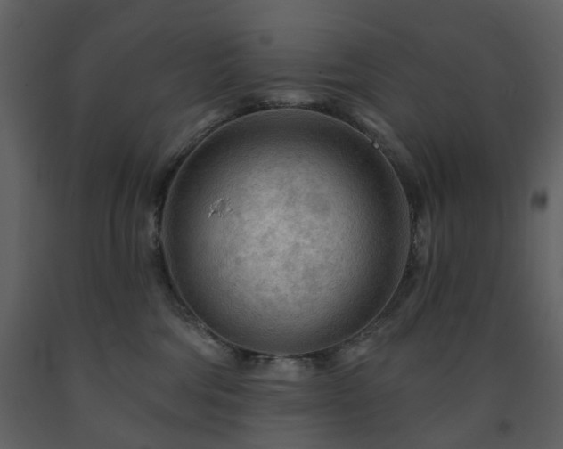X0000091720330200708241355