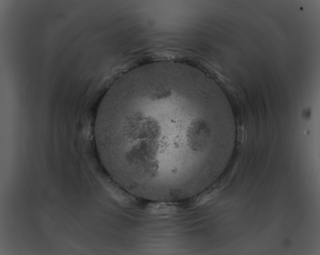 X0000091720331200708241355