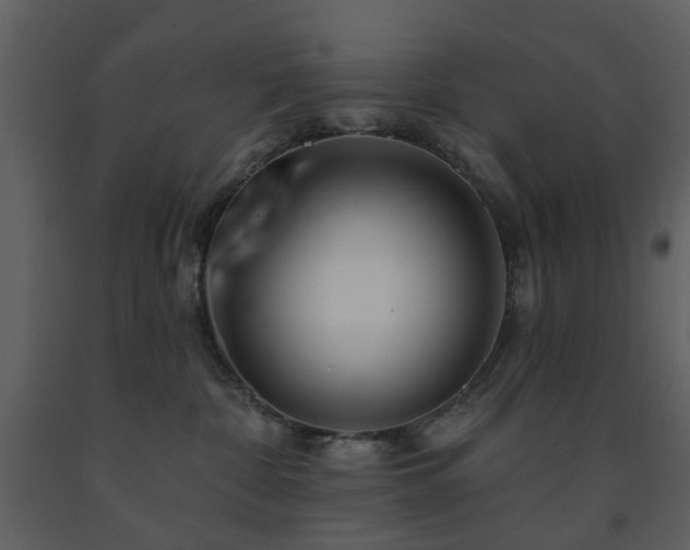 X0000091720332200708241355