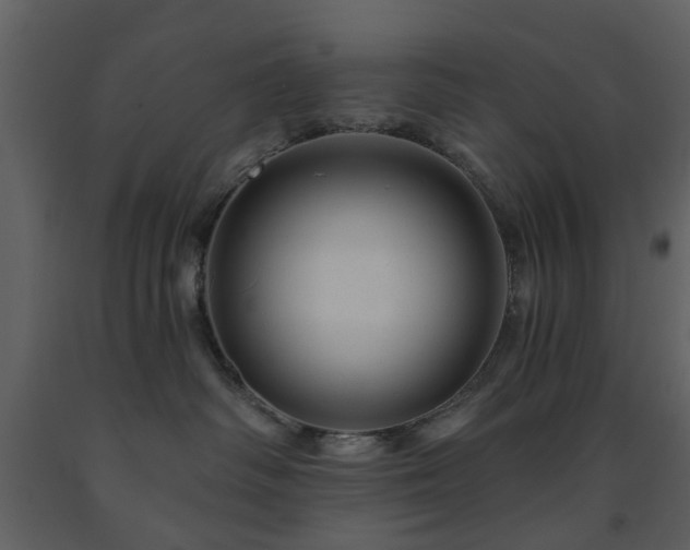 X0000091720334200708241355